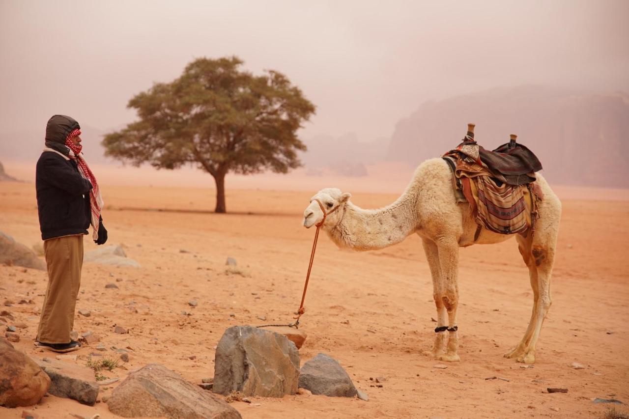 Magic Bedouin Star & Tours Hotel Вади Рум Екстериор снимка