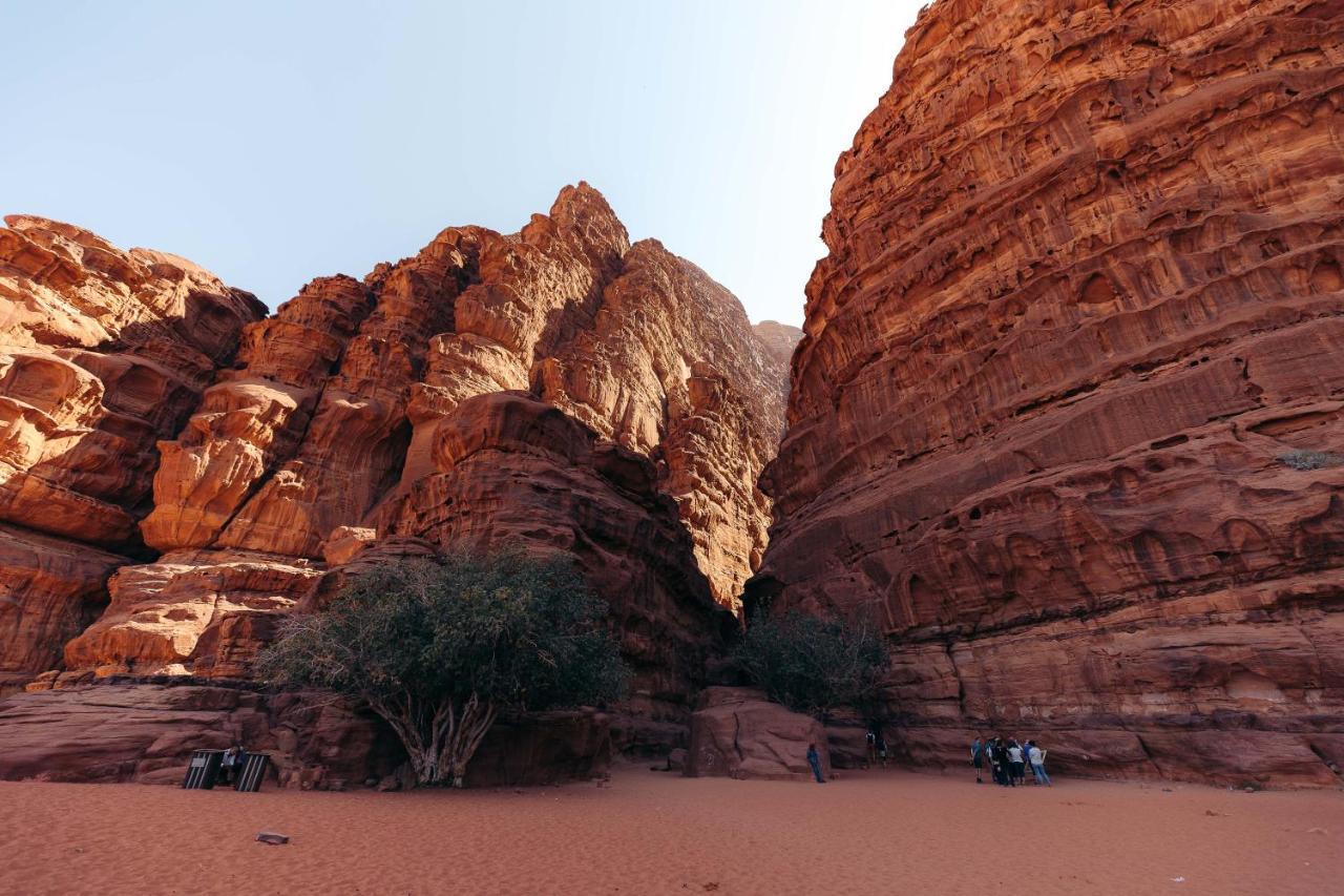 Magic Bedouin Star & Tours Hotel Вади Рум Екстериор снимка