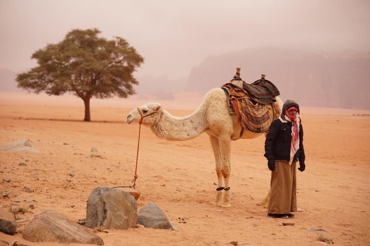 Magic Bedouin Star & Tours Hotel Вади Рум Екстериор снимка